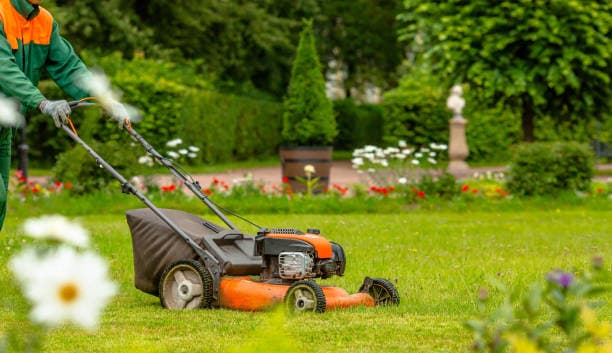 Lawn Services SG – Green Lawns, Perfect Yards