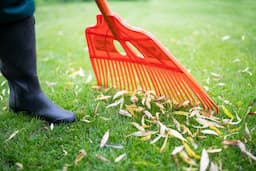 A Beautiful Lawn, No Matter the Season!