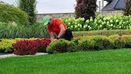  Elevate Your Lawn’s Beauty with Expert Landscaping