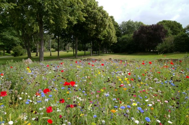 Weed and Fertilization Control