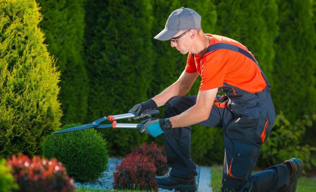 Gardening Services Singapore